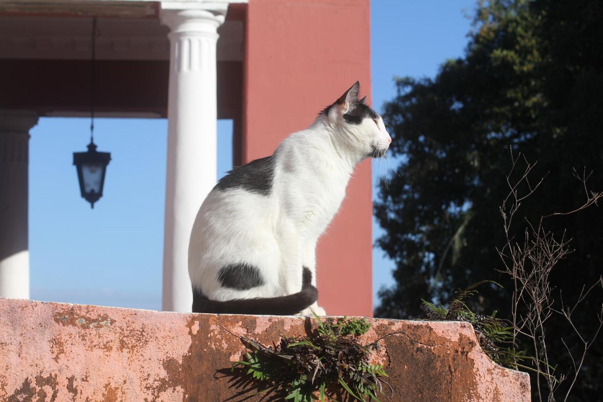 Casa Laranja Pensión