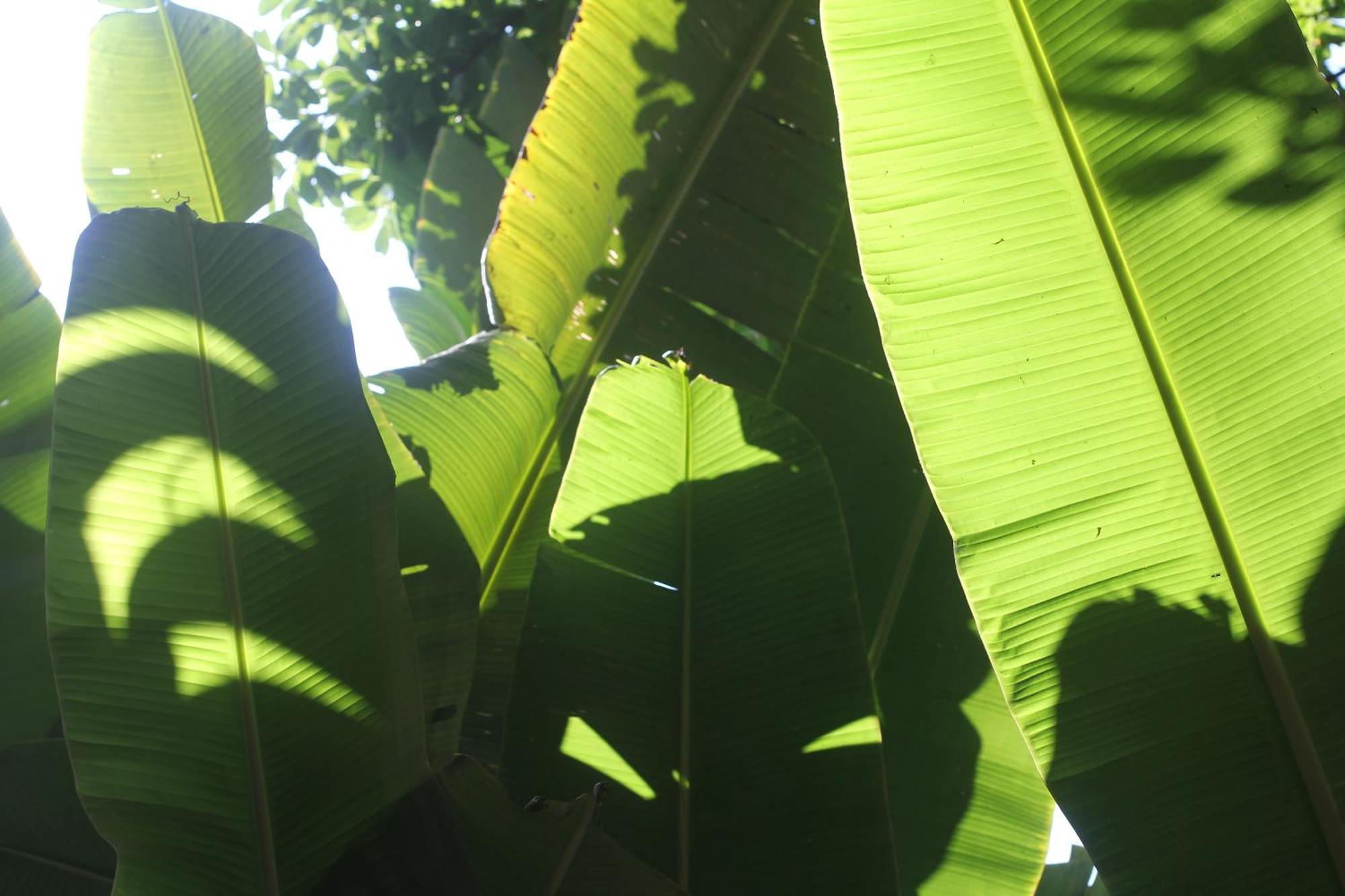 Casa Laranja Pensión Río de Janeiro