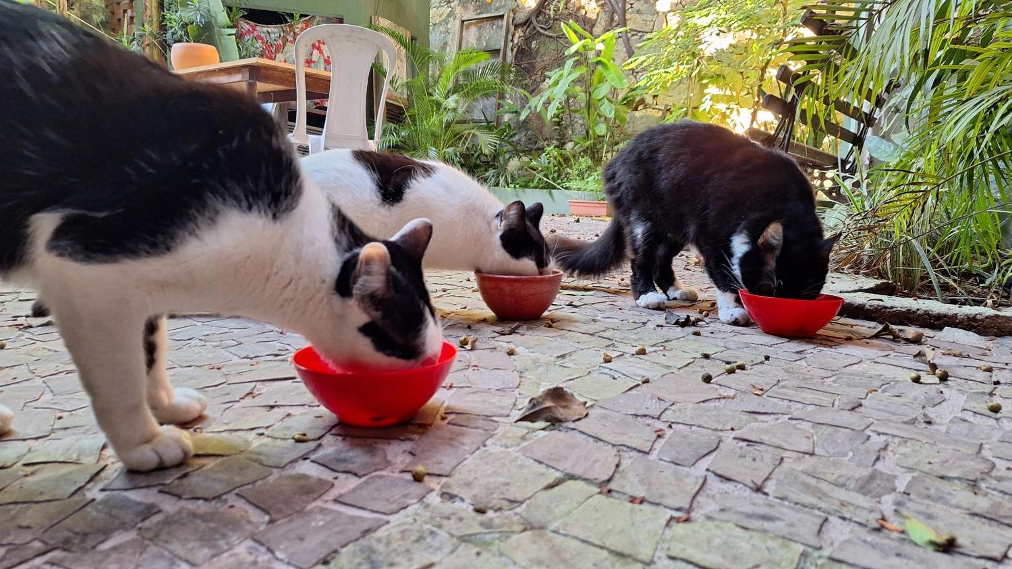 Casa Laranja * Río de Janeiro