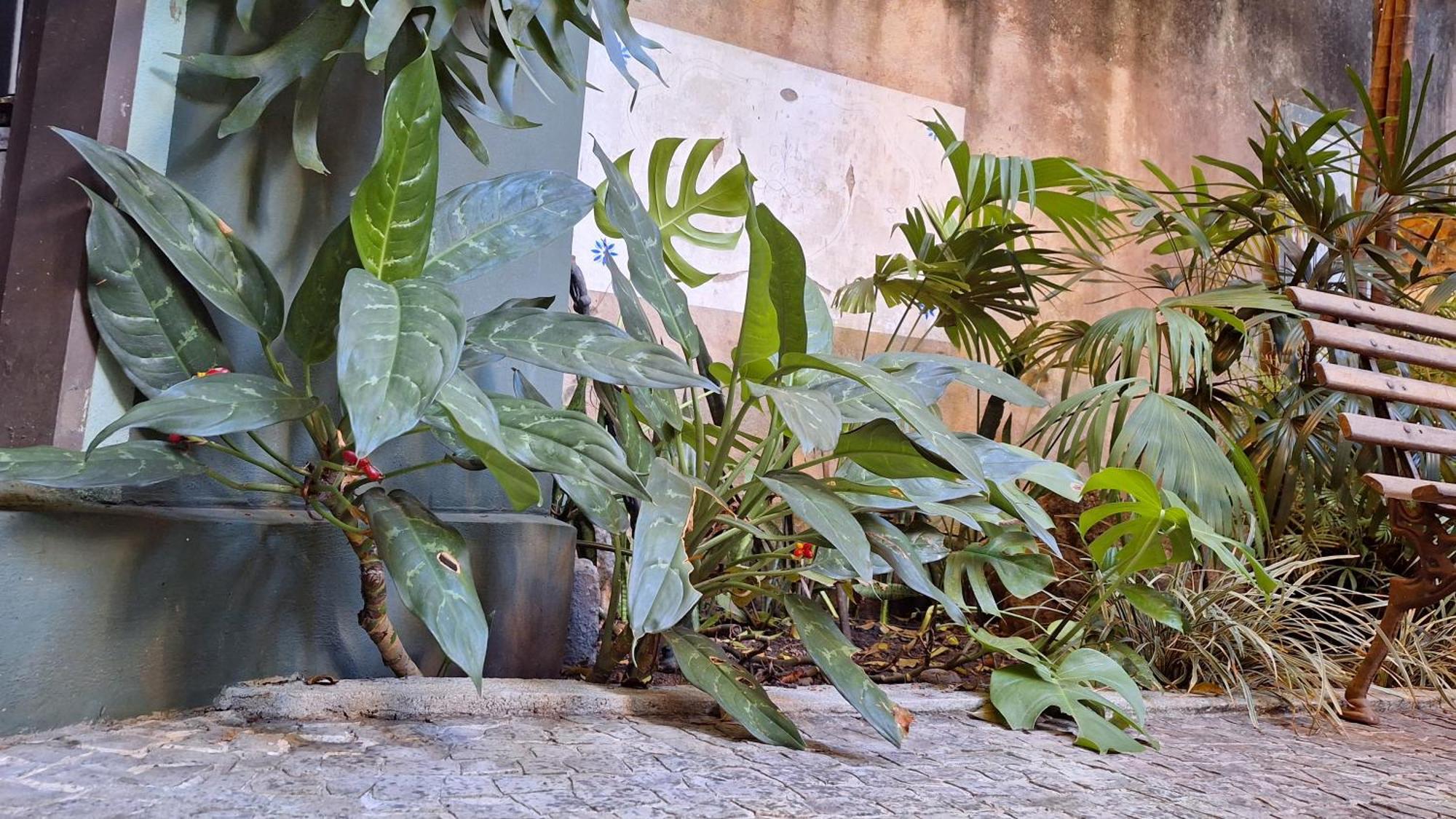 Pensión Casa Laranja *